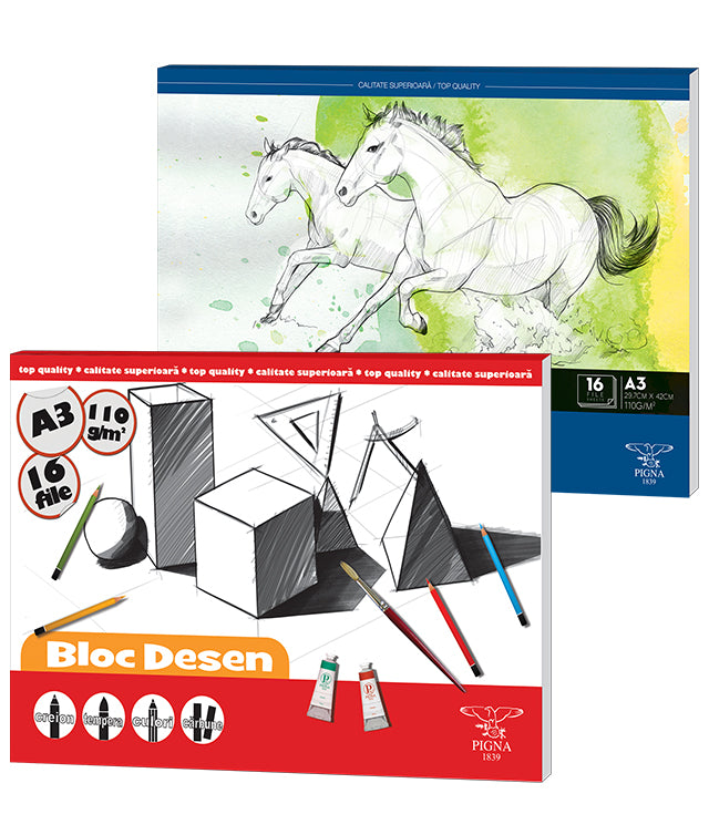 BLOC DESEN A3 110G 16 COLI PIGNA BLOC DESEN A3 110G 16 COLI PIGNA